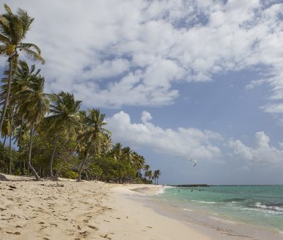 Plage paradisiaque et palmiers - Location Villa à Marie Galante