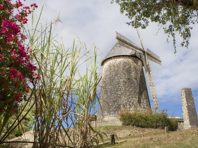 Photo moulin - Location Villa à Marie Galante