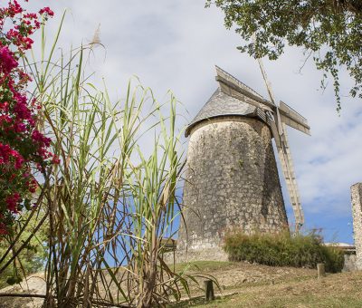 Photo moulin - Location Villa à Marie Galante