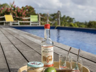 Cocktail au bord de la piscine à Marie Galante, Coccoloba - Location Villa à Marie Galante