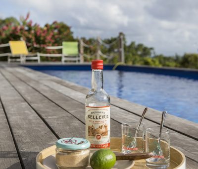 Cocktail au bord de la piscine à Marie Galante, Coccoloba - Location Villa à Marie Galante
