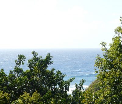 Superbe vue sur la mer, Coccoloba - Location Villa à Marie Galante